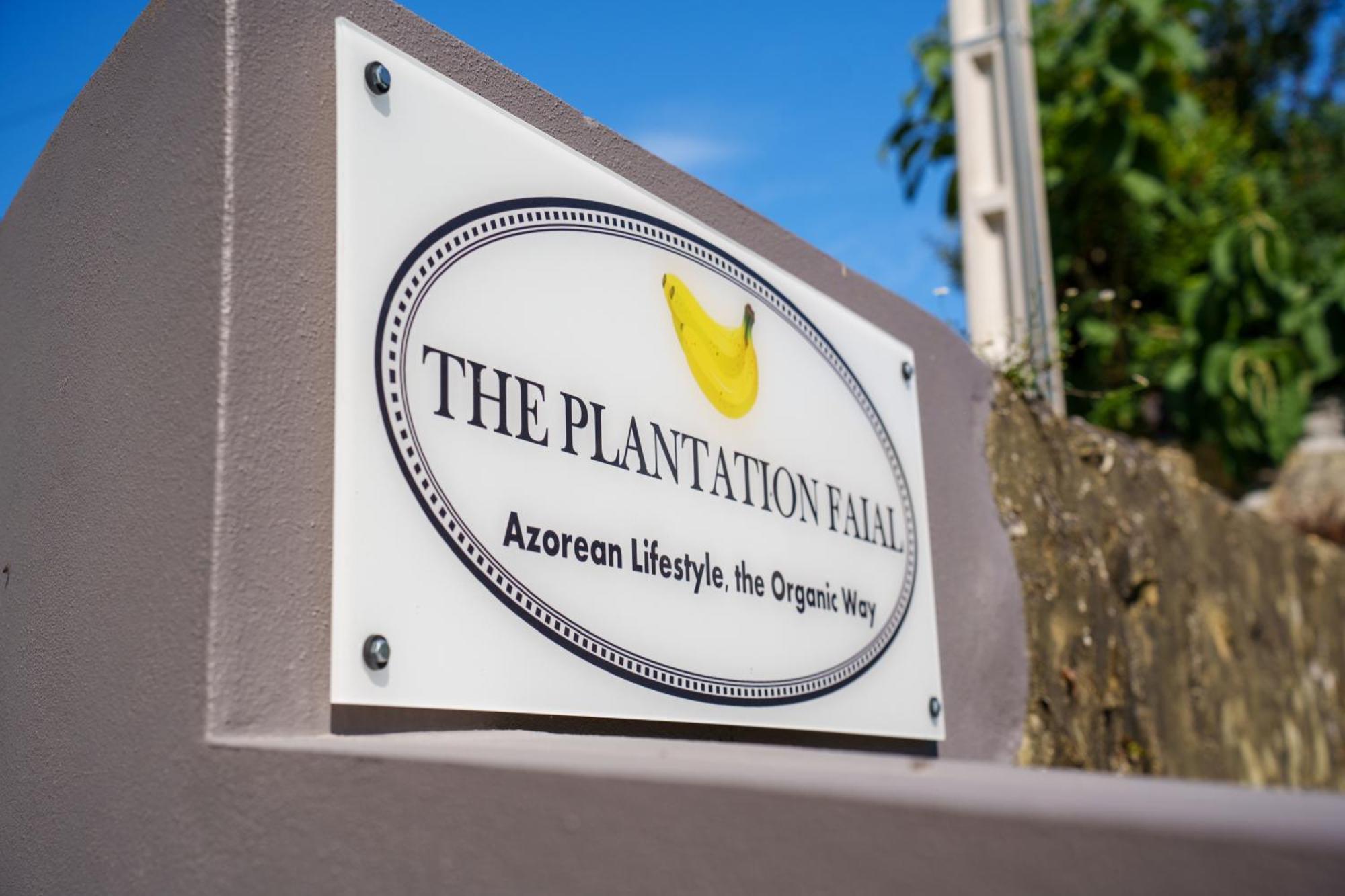 Bed and Breakfast The Plantation Faial Feteira  Zewnętrze zdjęcie
